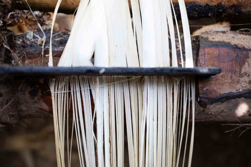 White banana fibers are processed into yarn.