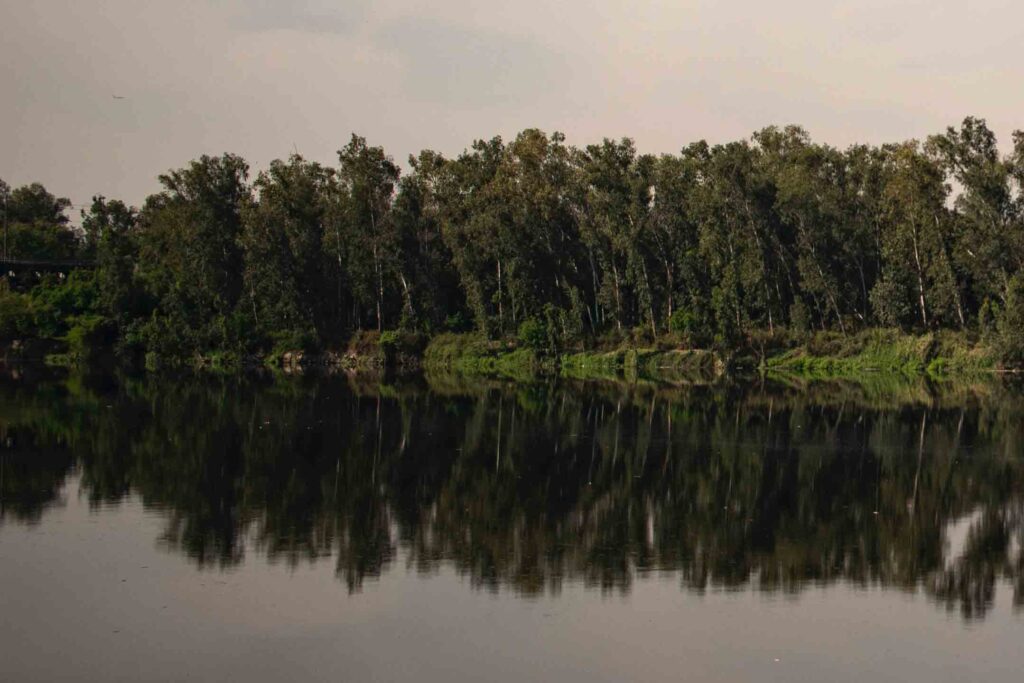 A polluted river reflects the trees against a gray sky.